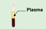 Plasma exosome purification