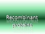 Other Recombinant proteins