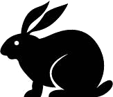 Anti-Mouse Ig Kappa Light Chain rabbit monoclonal antibody [RM103]