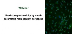 Webinar:  Predict nephrotoxicity by multi-parametric high content screening