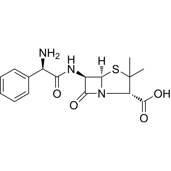 Ampicillin Chemische Struktur