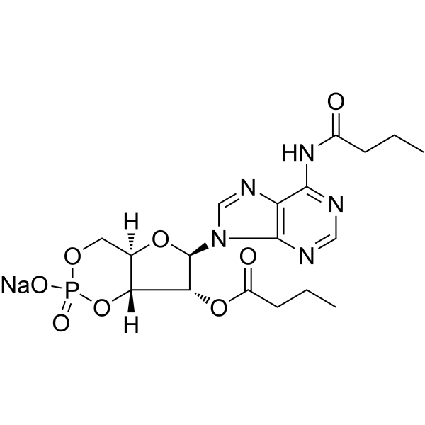 Bucladesine sodium Chemische Struktur