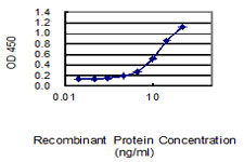 Sandwich ELISA (Recombinant protein)