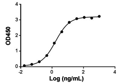 Enzyme-linked Immunoabsorbent Assay