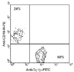 Flow Cytometry