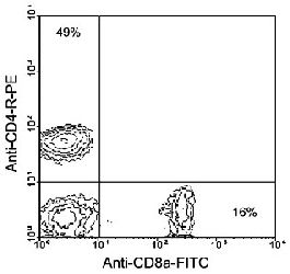 Flow Cytometry