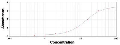 Enzyme-linked Immunoabsorbent Assay