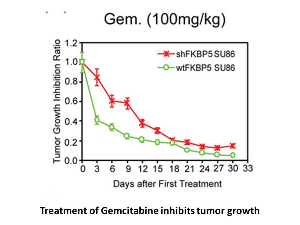 Gemcitabine