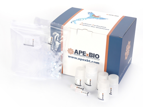 ApexPrep DNA Plasmid Miniprep Column Only