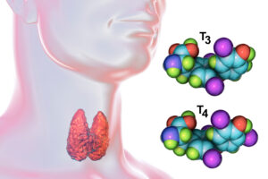 T3, T4 Thyroxine molecules next to an image of a throat with the thyroid gland highlighted.