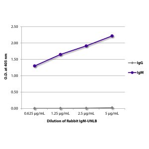 serially diluted Rabbit IgM-UNLB