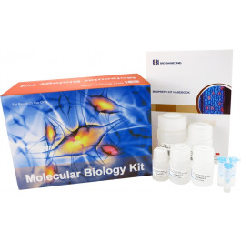 EZ-10 Spin Column Fungal Genomic DNA Miniprep Kit