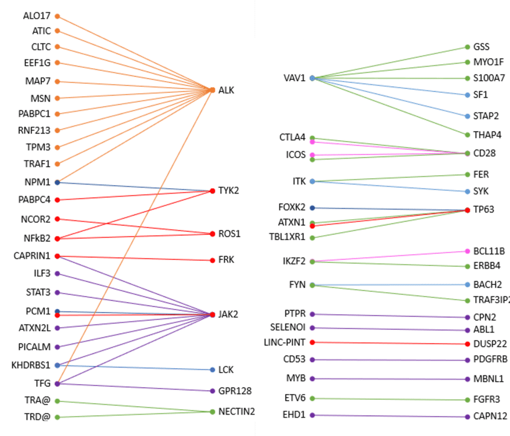 Fusions LymphoTranscript