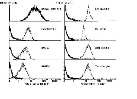 00982_Abb1_Flow-Cytometry-Reactivity-of-anti-CD90-clone-AS02