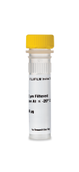 Recombinant Human FGF-basic 154 / FGF-2