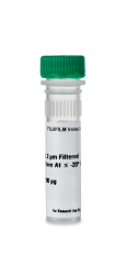 Recombinant Mouse IL-1 β