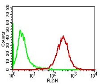 Flow Cytometry of human Adipophilin on PBMC. Green: Isotype Control; Red: Adipophilin Monoclonal Antibody (ADFP/1365).