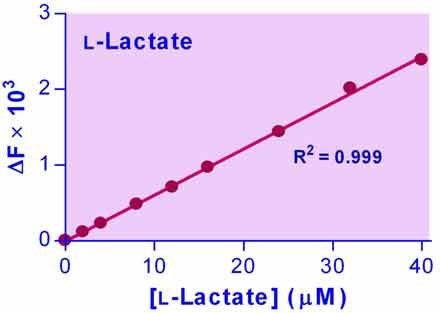 lactate assay kit