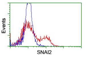 SLUG (SNAI2) Mouse Monoclonal Antibody [Clone ID: OTI1A6]