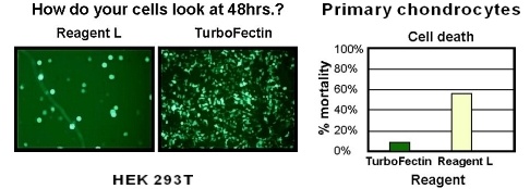 TurboFectin 8.0 Transfection Reagent (5 mL in 5 vials)