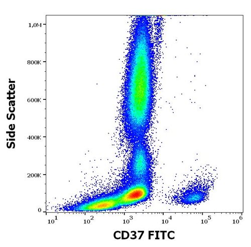 FITC Conjugated Anti-Hu CD37 Antibody (Clone:MB-1)