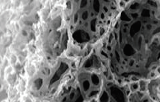 Nanofiber Scaffold