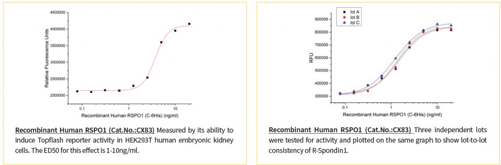 High Activity & Lot-to-Lot Consistency