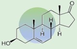 Dehydroepiandrosteron