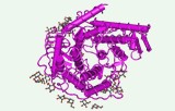 Glucoamylase activity assay