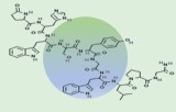 Gonadotropin-Releasing-Hormon