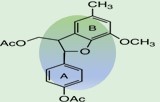 Humanes Choriongonadotropin