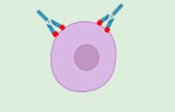 Durchflusszytometrie-Isotypkontrollen