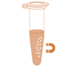 SARS-CoV-2 - Extraktionskits für virale RNA - Magnetische Beads