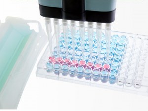  Erhöhte Präzision mit hochempfindlichen ELISA-Kits