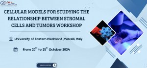 Cellular models for studying the relationship between stromal cells and tumors workshop 