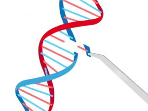 CRISPR-Cas-Systeme: Revolutionierung der Genom-Editierungstechnologie