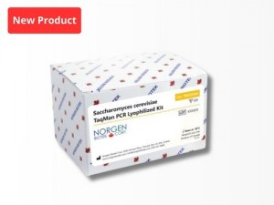 Lyophilisierte TaqMan PCR-Kits: Präzision und Komfort neu definiert