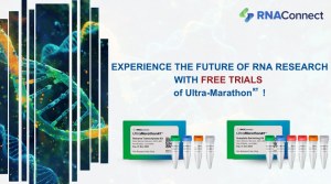 Verbessern Sie Ihre RT-PCR kostenlos, testen Sie unsere Marathon RT!  